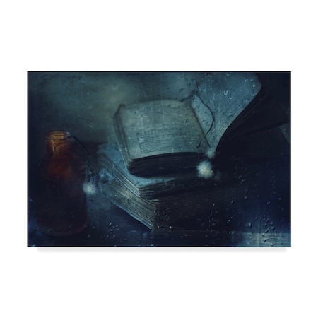 Delphine Devos 'Moonlight Shadows' Canvas Art,22x32